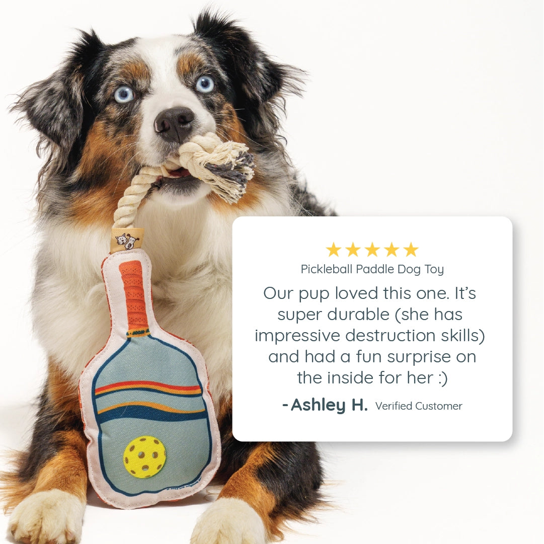 Image of a review of a dog toy shaped like a pickleball paddle.